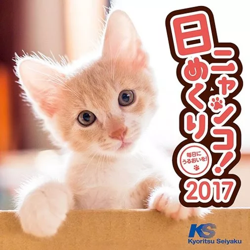 可愛小貓2017年桌上型日曆 (320張)