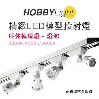 HOBBYLight【精緻 LED 模型投射燈 迷你軌道燈 單顆燈泡 白】模型燈 櫥窗 擺設 裝飾 #3000K