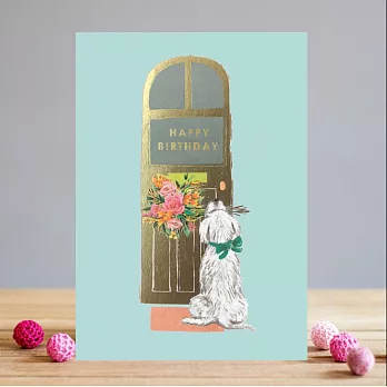 【LOUISE TILER】Birthday dog at door#生日卡#動物#英國進口#FA015