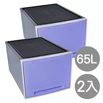 【nicegoods 好東西】個性粉彩單層收納整理箱(65公升) 2入粉紫