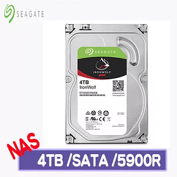 Seagate 希捷 IronWolf 4TB 3.5吋NAS硬碟 (ST4000VN008-3Y)