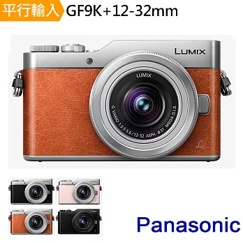 Panasonic DMC GF9K+12-32mm 單鏡組*(中文平輸)-送單眼相機包+強力大吹球清潔組+硬式保護貼橘色