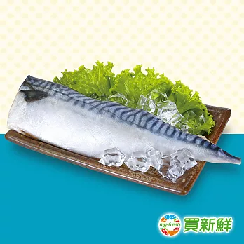 【買新鮮】頂級挪威鯖魚(200g±10%/片)