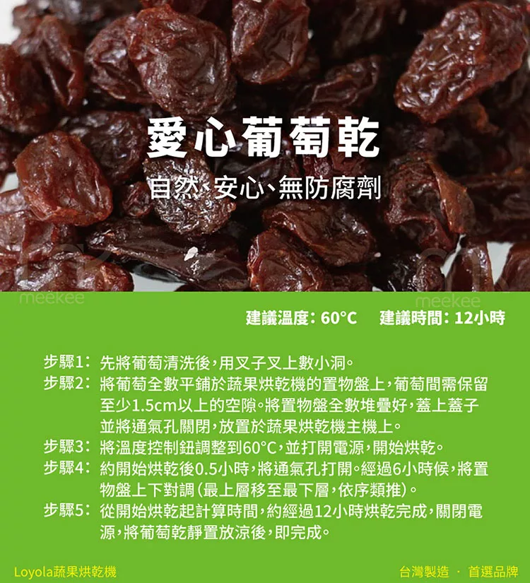 Loyola HL-1080S - 詳情15