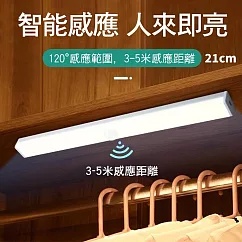 CS22 USB充電磁吸式LED人體智能感應燈─21CM 暖光
