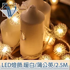 Viita LED聖誕燈飾燈串/居家裝潢派對佈置燈串 暖白/蒲公英/2.5M