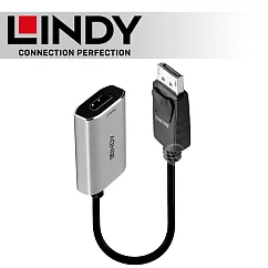 LINDY 林帝 主動式 DisplayPort1.4 to HDMI2.1 8K HDR 轉接器 (41094)