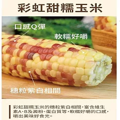 【炳叔烤玉米】水煮玉米(200g/支)