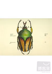 JYJ / Come On Over (Private Project Box Set Collection) (韓國進口限量版, 5DVD)