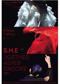 S.H.E / 2gether 4ever Encore演唱會影音館 精裝限量版 DVD
