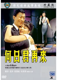 何日君再來 DVD