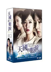 天國的眼淚 DVD