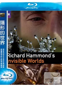 隱形的世界 (藍光BD)