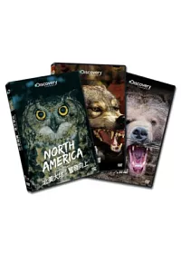 北美大地:狂野無比 DVD