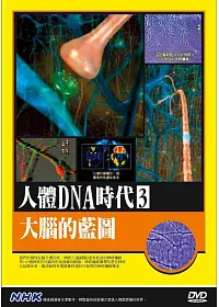NHK人體DNA時代(3)大腦的藍圖 DVD