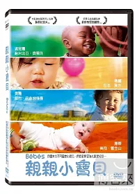 親親小寶貝 DVD