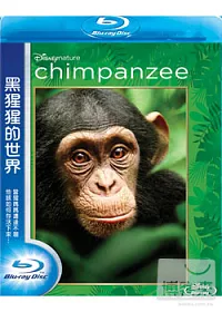 黑猩猩的世界 (藍光BD)