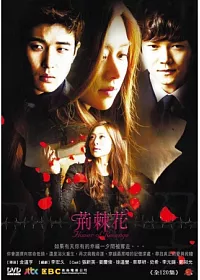 荊棘花 12DVD