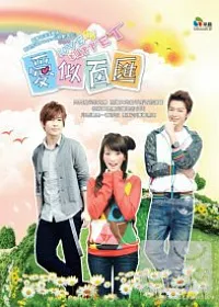 愛似百匯 (01-13) 4DVD