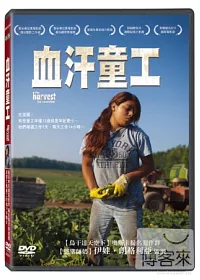 血汗童工 DVD