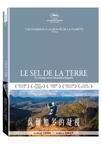 薩爾加多的凝視 DVD