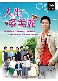 人生多美麗(1~20集) 4DVD