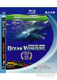 海洋航行家 - 座頭鯨 (藍光BD)