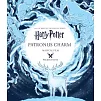 Harry Potter Patronus Charm Magical Film Projections