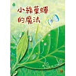 小綠葉蟬的魔法