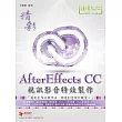 精彩 AfterEffects CC 視訊影音特效製作