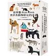 虎斑貓Bon Bon與世界動物朋友的奇遇：365日，天天都是動物狂歡節