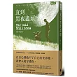 直到黑夜盡頭