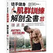【徒手健身】 肌群訓練X解剖全書(暢銷新版)：150種訓練項目及運動機能解剖分析； 無需專業器材、就地鍛鍊、續航持久!