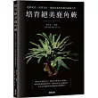 培育絕美鹿角蕨：進階栽培×配置設計，兼顧收藏與裝飾的綠植美學
