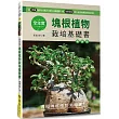 全年度塊根植物栽培基礎書(暢銷版)