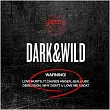 BTS防彈少年團 / 第1張專輯 DARK&WILD (韓國進口版)