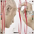 傷心欲絕 / 遜到簡直是個藝術品 (CD)
