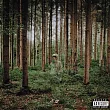 Grandson / I Love You， I’M Trying