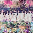 AKB48 / Colorcon Wink [初回限定盤Type─B] (CD+Blu─ray) 環球官方進口