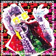 布基柯林斯 / What’s Bootsy Doin’? (CD)