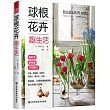 球根花卉趣生活