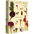 300種乾花圖鑒