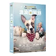 浪浪回家路 DVD
