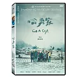 哈勇家 DVD