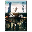愛是一道光 DVD