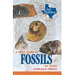 A Field Guide to Fossils of Texas