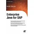 Enterprise Java for Sap