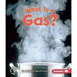 What Is a Gas?