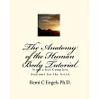 The Anatomy of the Human Body Tutorial： Simple but Complete Anatomy for the Artist