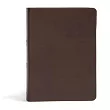 CSB She Reads Truth Bible， Brown Genuine Leather， Indexed